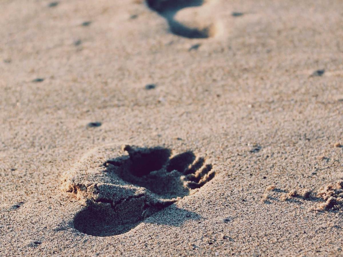 Ancestral Stone Bust - Thumbnail 2